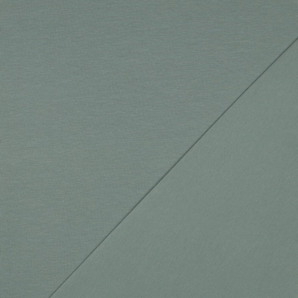 Bio-Jersey Salbei 069V Fadenwunsch 