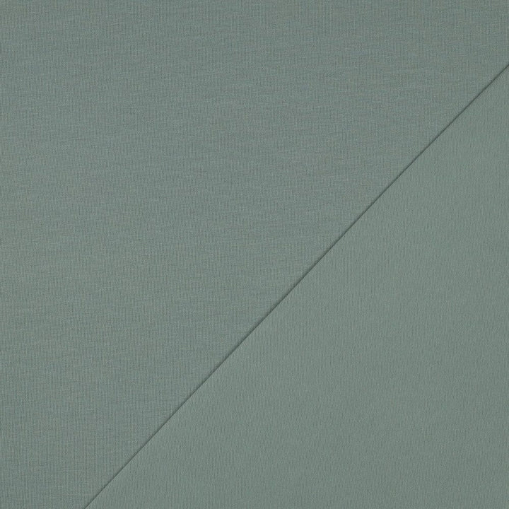 Bio-Jersey Salbei 069V Fadenwunsch 