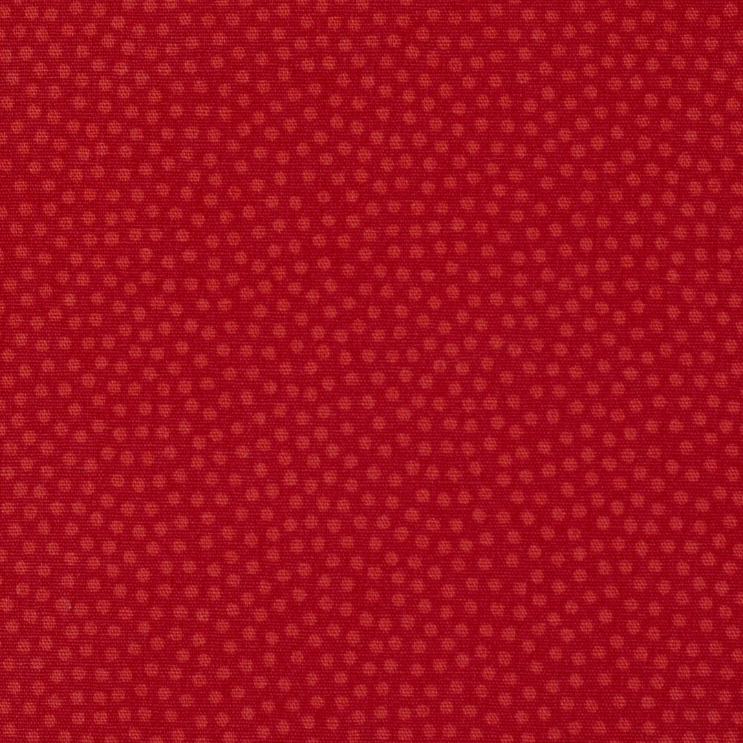 Baumwolle Webware Dotty rot - 638 Fadenwunsch 
