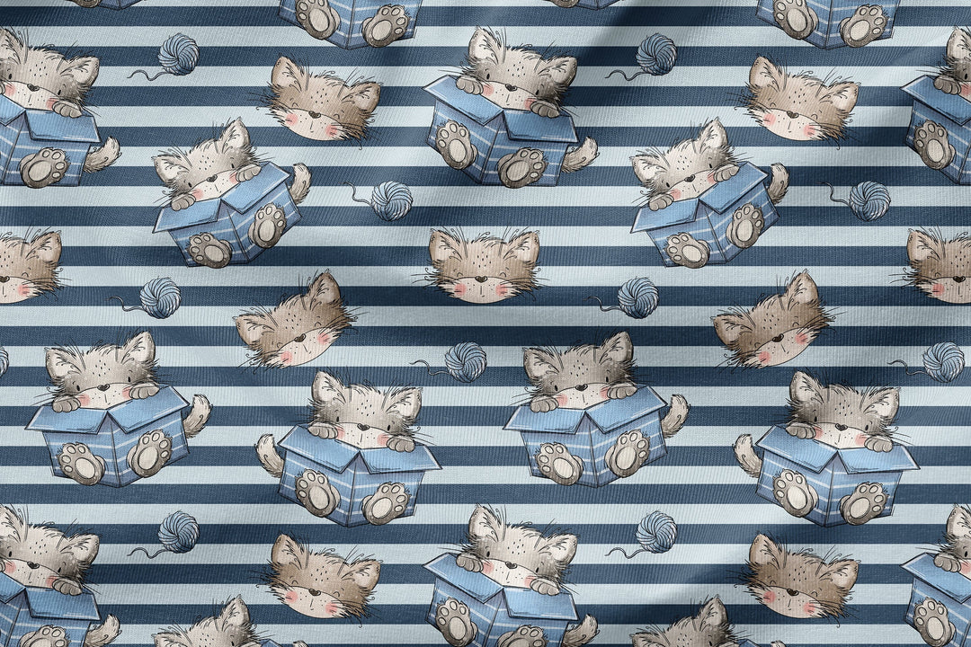 Vorbestellung | "Catbox Boy" fadenwunsch 