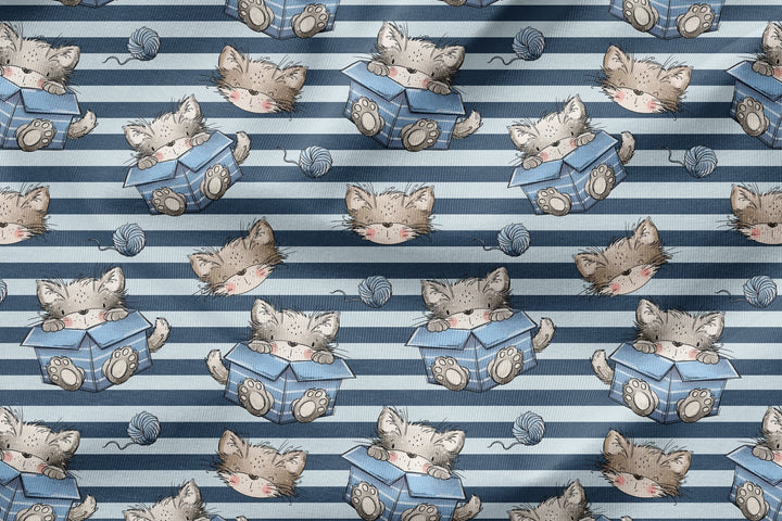 Vorbestellung | "Catbox Boy" fadenwunsch 
